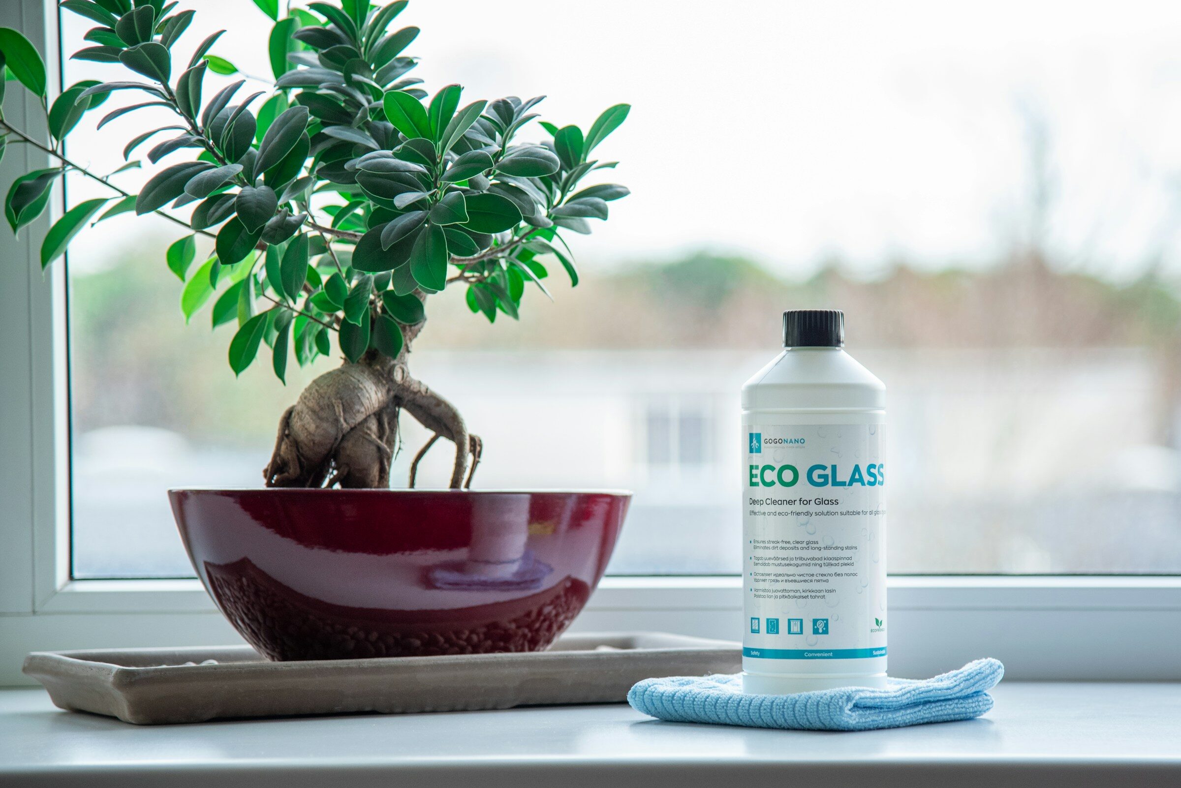 Ruiz Gebäudereinigung Hamburg ECO