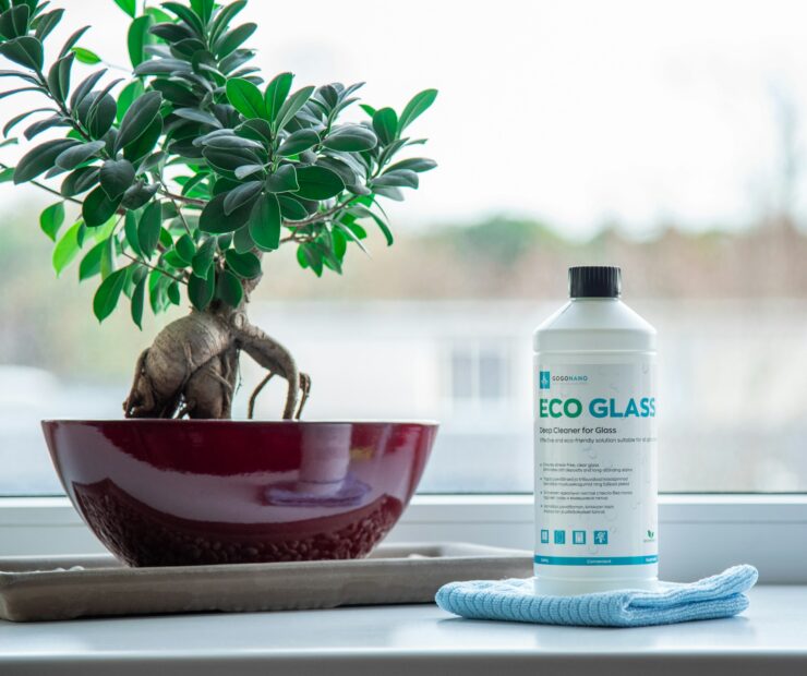 Ruiz Gebäudereinigung Hamburg ECO